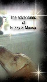 Moose