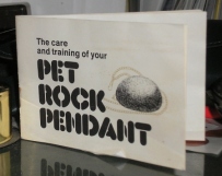 pet rock training guide